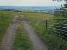 Nice walk