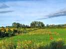 Campsite