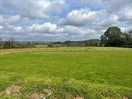 Dog walking field