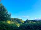 Lovely views