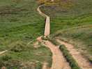 South west coast path on your doorstep