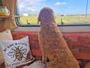 A lovely view out of the motorhome