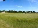 The view