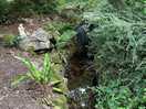 Japanese garden onsite