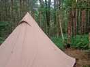 Woodland pitch