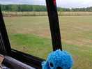 View out of window