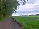 Lovely dog walk to village