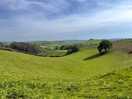 View down onto site
