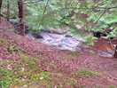Local walk to explore gorge