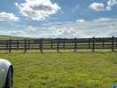 Views from the site