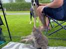 Making friends