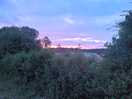 View from the campervan field