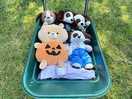 Fun camping trip
