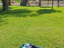 Grassed area to sunbathe
