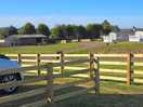 Pics of pitches