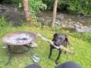 Happy doggy, loving the stream and his stick