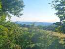 View from the top of the woodland walk from the campsite