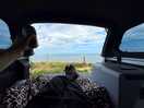View straight out onto the coast