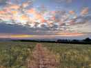 Sunset over fields