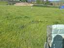 Would have been nicer if grass was cut