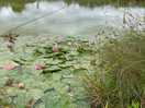 Fishing lake