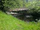 The bridge way