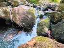 Stream