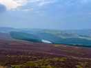 Moors near by