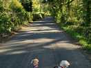 Local walk