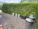 Bin area