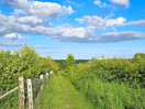 Walks