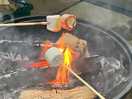 Toasting marshmallows