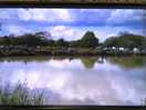 Fishing lake