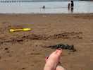 Beach 5 mins away