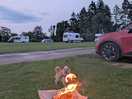 Fire wood bought from shop