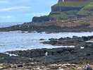 Giants causeway