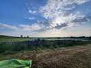 Camping field