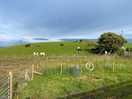 Close to nature