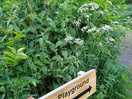 Helpful signs across site.