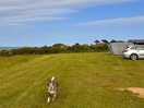Dog friendly and sea views!