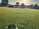 Brew with a view