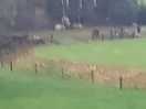View from the field