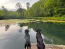 Beautiful land to explore
