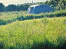 A view of our pitch, each pitch separated by wild flowers & grasses