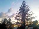 Wonderful weather
