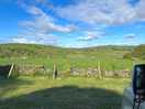View from the van