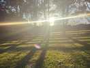Lots of sunshine.
