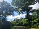 Campsite