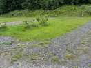 More “hardstanding”