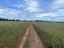 One of the well marked footpaths from the campsite